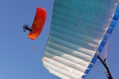 UFLY_NEW-36