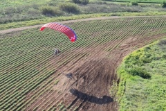 UFLY_NEW-61